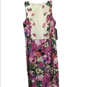 Womens Maggy London Floral dress Size US 4
